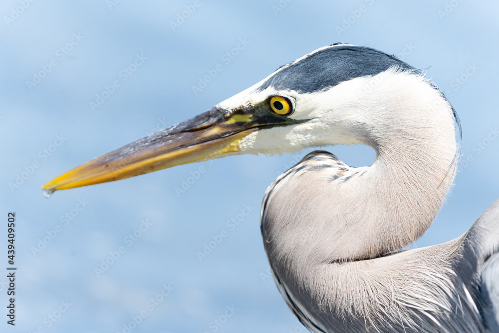 Photo by Lea Tyrrell | Available via Adobe Stock Images