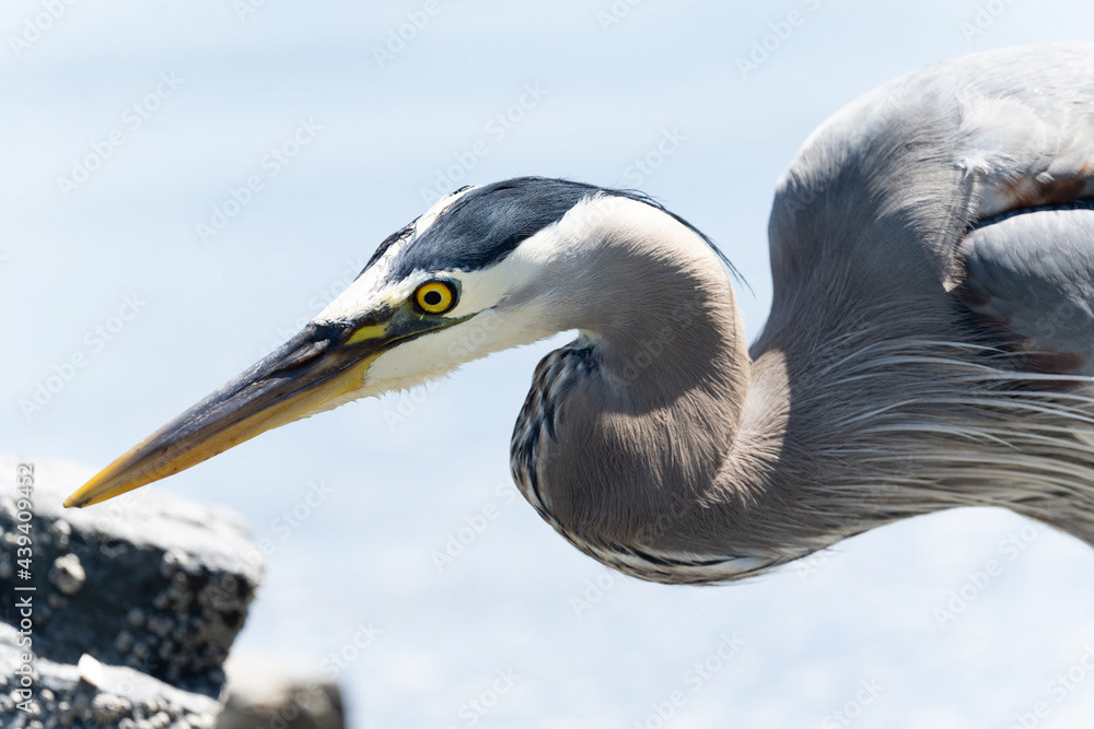 Photo by Lea Tyrrell | Available via Adobe Stock Images