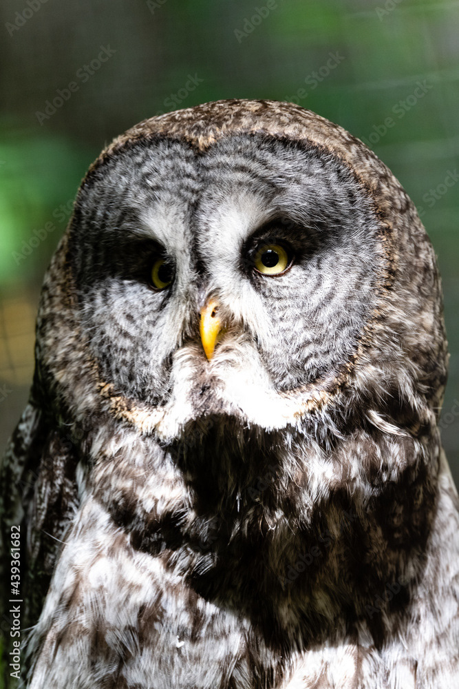 Photo by Lea Tyrrell | Available via Adobe Stock Images