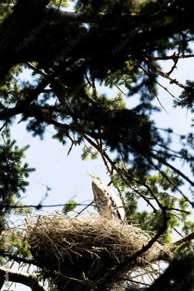 Photo by Lea Tyrrell | Available via Adobe Stock Images