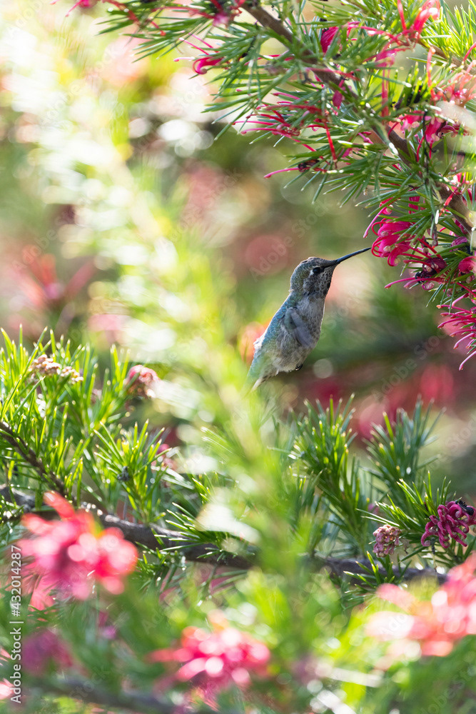 Photo by Lea Tyrrell | Available via Adobe Stock Images