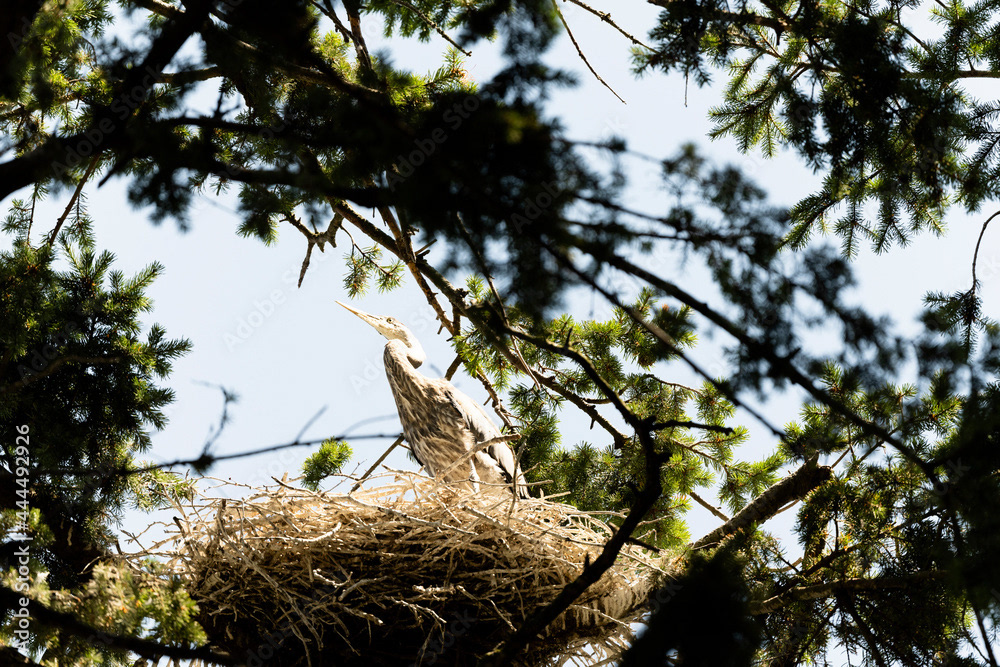 Photo by LPhoto by Lea Tyrrell | Available via Adobe Stock Imagesea Tyrrell | Available via Adobe Stock