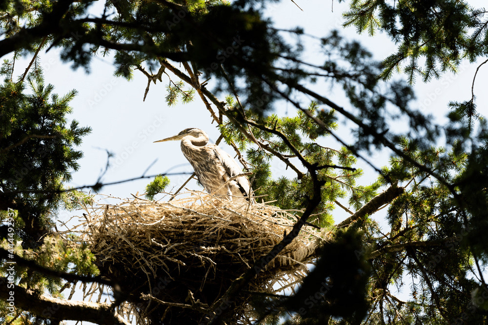 Photo by Lea Tyrrell | Available via Adobe Stock Images