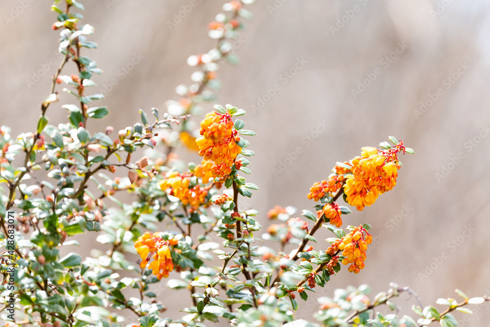 Photo by Lea Tyrrell | Available via Adobe Stock Images