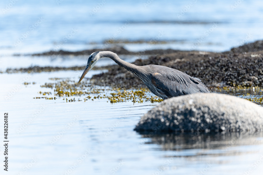 Photo by Lea Tyrrell | Available via Adobe Stock Images
