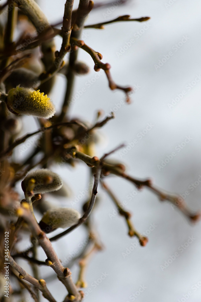 Photo by Lea Tyrrell | Available via Adobe Stock Images