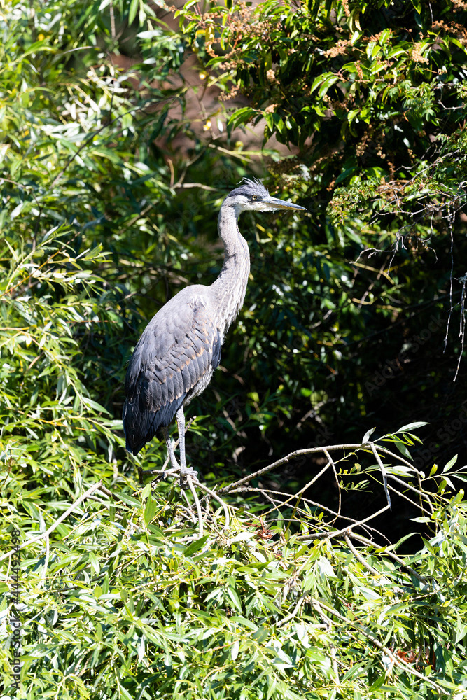 Photo by Lea Tyrrell | Available via Adobe Stock Images
