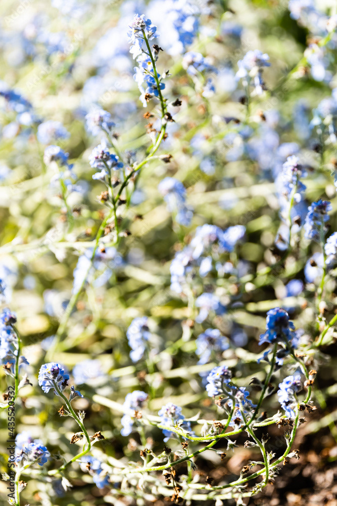 Photo by Lea Tyrrell | Available via Adobe Stock Images