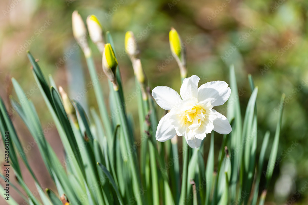 Photo by Lea Tyrrell | Available via Adobe Stock Images