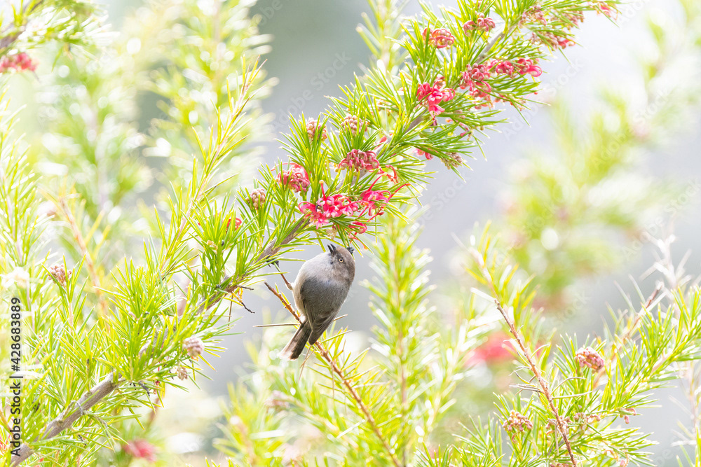Photo by Lea Tyrrell | Available via Adobe Stock Images