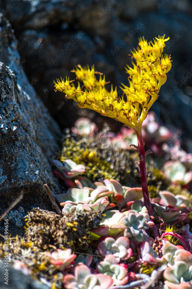 Photo by Lea Tyrrell | Available via Adobe Stock Images