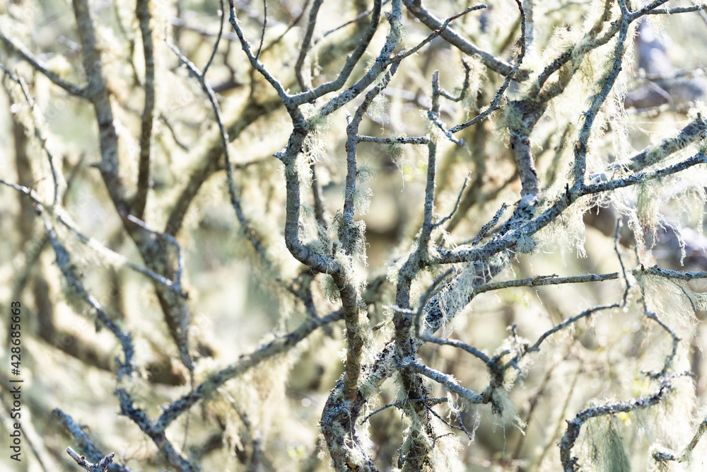 Photo by Lea Tyrrell | Available via Adobe Stock Images