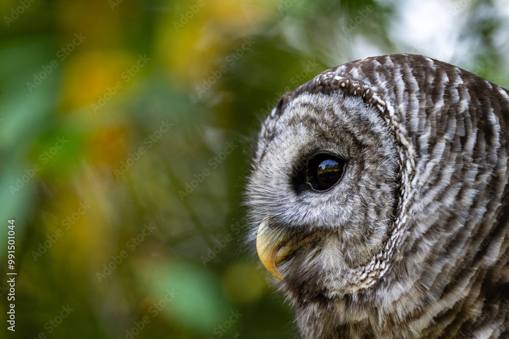 Photo by Lea Tyrrell | Available via Adobe Stock Images