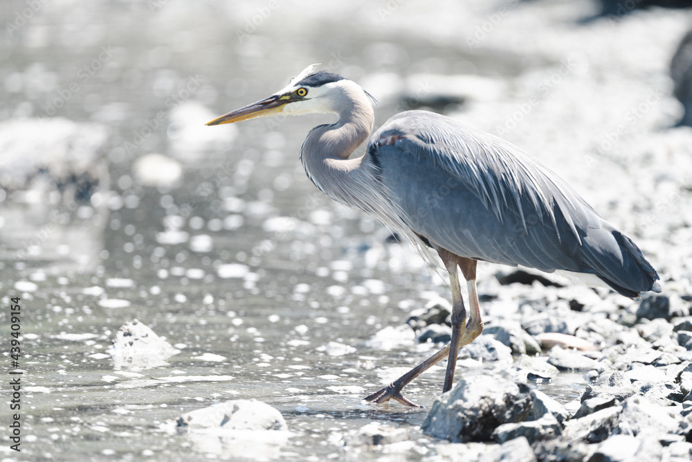 Photo by Lea Tyrrell | Available via Adobe Stock Images