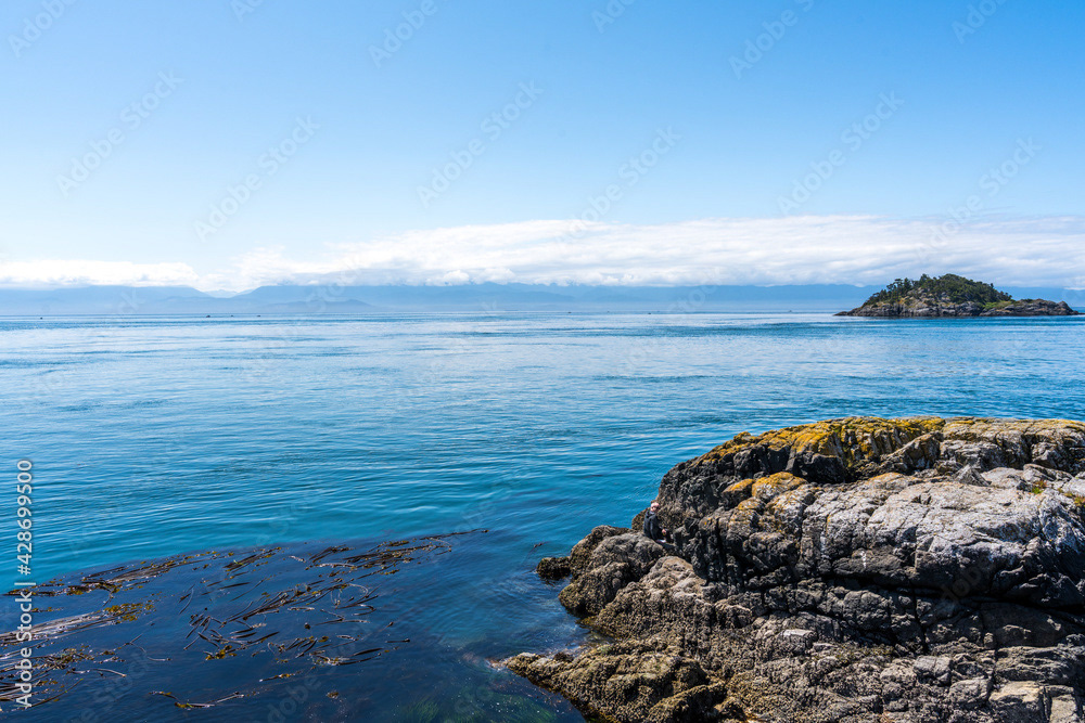 Photo by Lea Tyrrell | Available via Adobe Stock Images