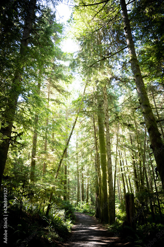 Photo by Lea Tyrrell | Available via Adobe Stock Images