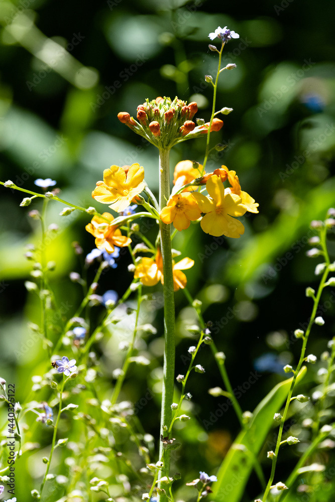 Photo by Lea Tyrrell | Available via Adobe Stock Images