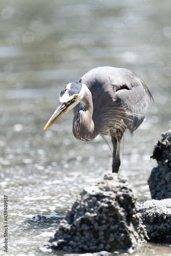 Photo by Lea Tyrrell | Available via Adobe Stock Images