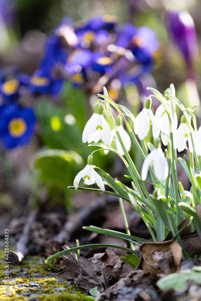 Photo by Lea Tyrrell | Available via Adobe Stock Images