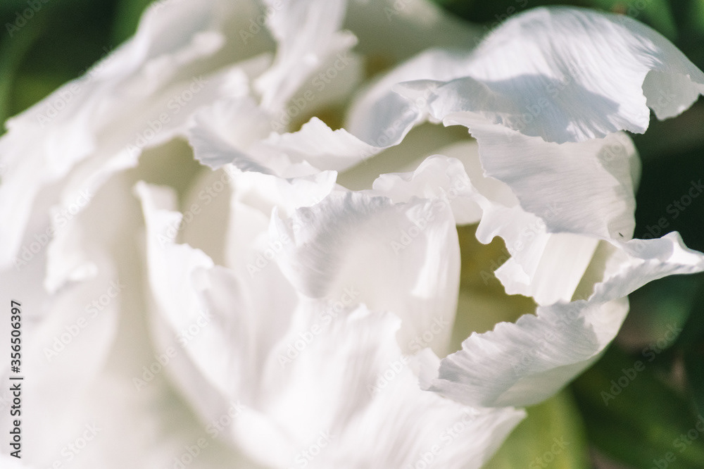 Photo by Lea Tyrrell | Available via Adobe Stock Images
