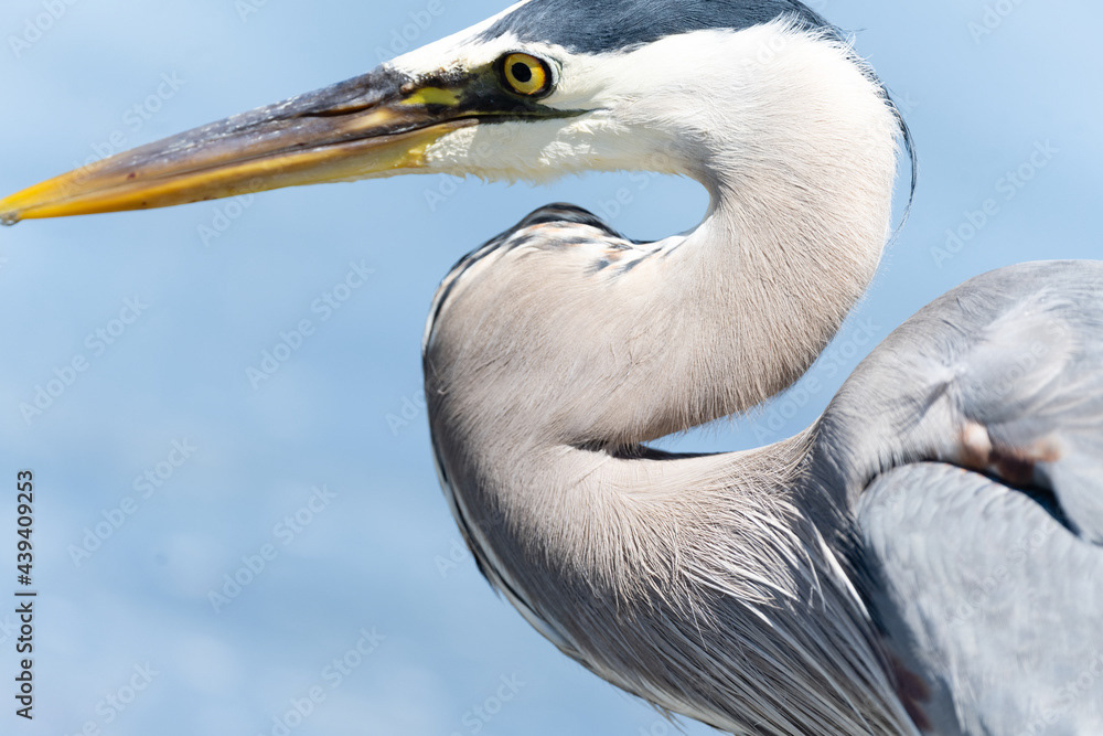 Photo by Lea Tyrrell | Available via Adobe Stock Images