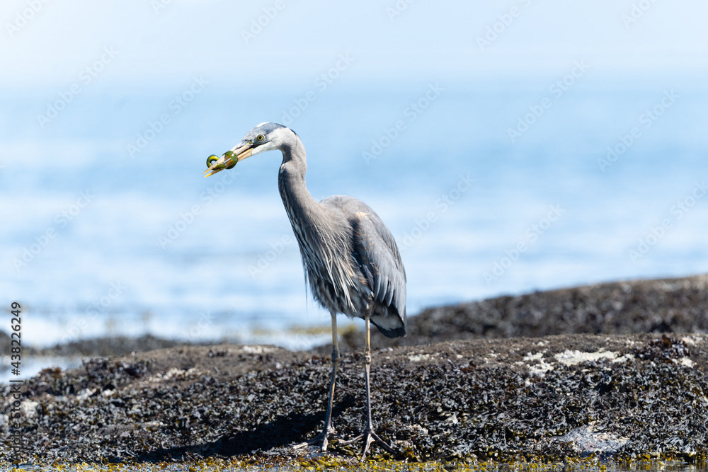 Photo by Lea Tyrrell | Available via Adobe Stock Images