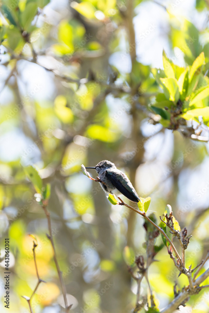 Photo by Lea Tyrrell | Available via Adobe Stock Images