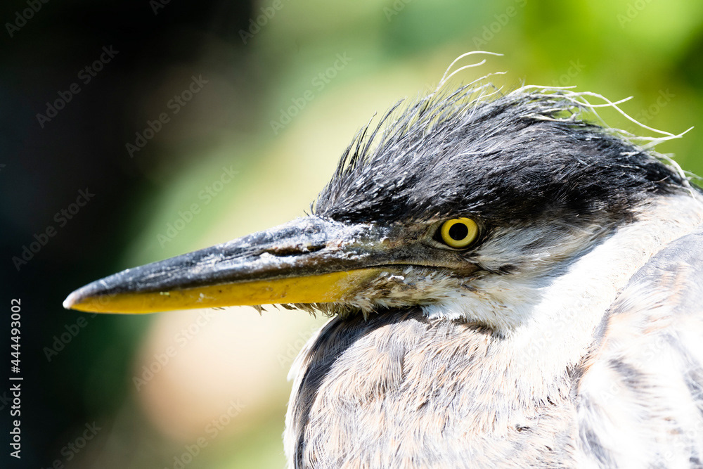 Photo by Lea Tyrrell | Available via Adobe Stock Images