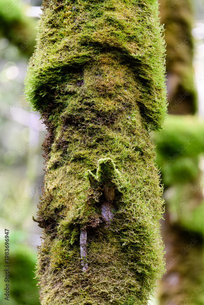 Photo by Lea Tyrrell | Available via Adobe Stock Images