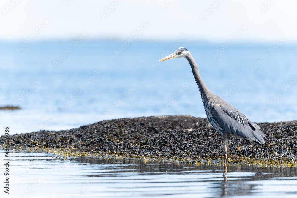 Photo by Lea Tyrrell | Available via Adobe Stock Images