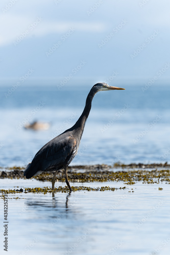 Photo by Lea Tyrrell | Available via Adobe Stock Images