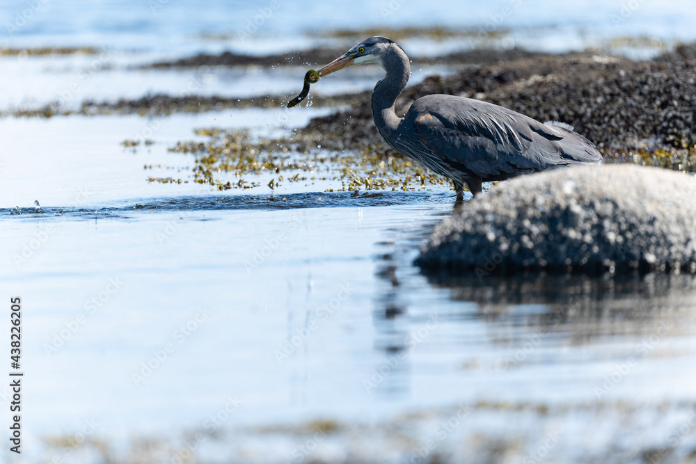 Photo by Lea Tyrrell | Available via Adobe Stock Images