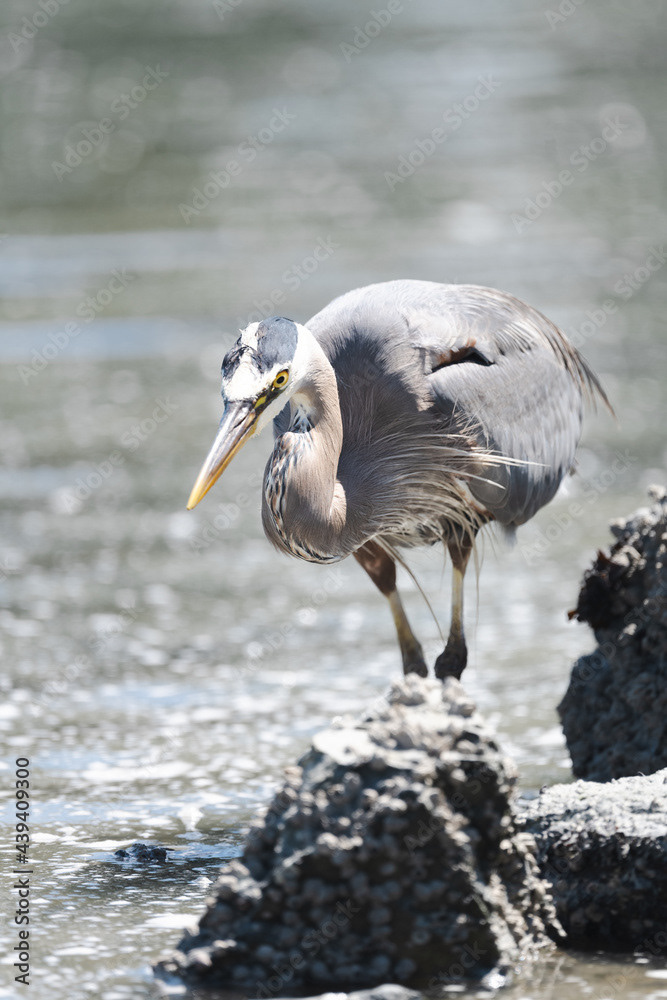 Photo by Lea Tyrrell | Available via Adobe Stock Images