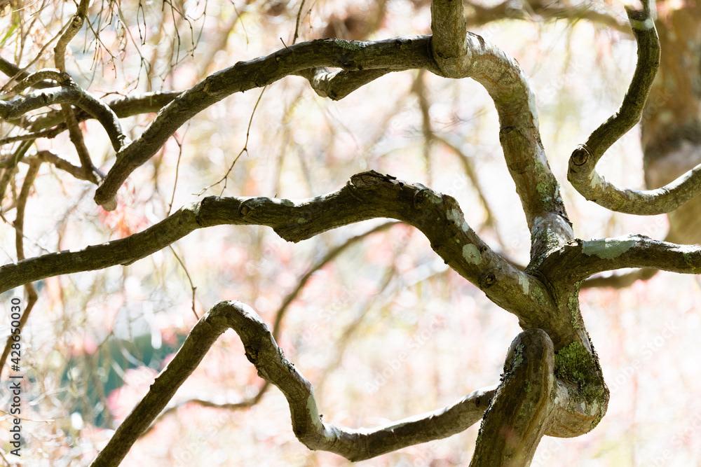 Photo by Lea Tyrrell | Available via Adobe Stock Images