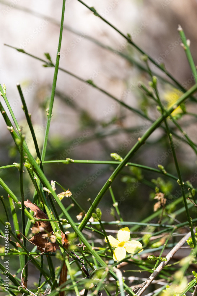 Photo by Lea Tyrrell | Available via Adobe Stock Images