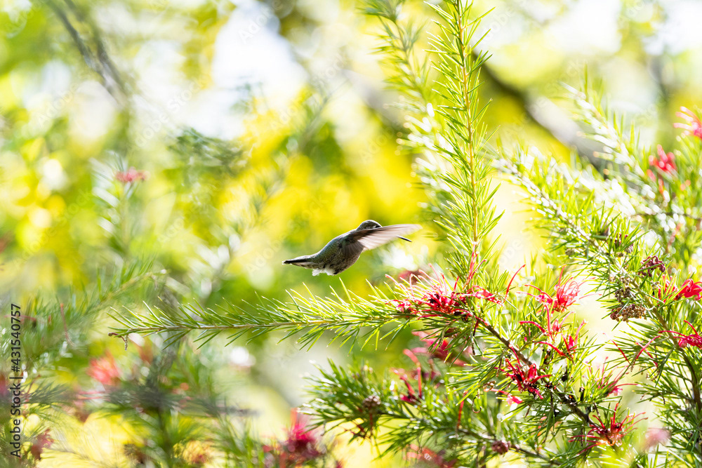 Photo by Lea Tyrrell | Available via Adobe Stock Images