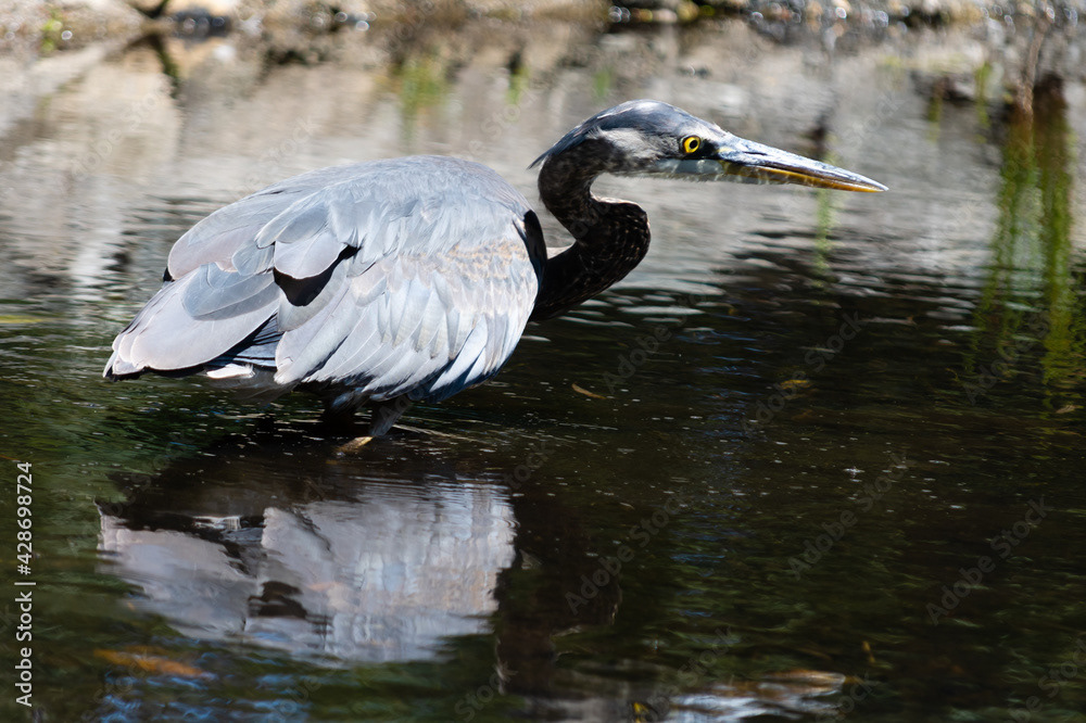 Photo by Lea Tyrrell | Available via Adobe Stock Images
