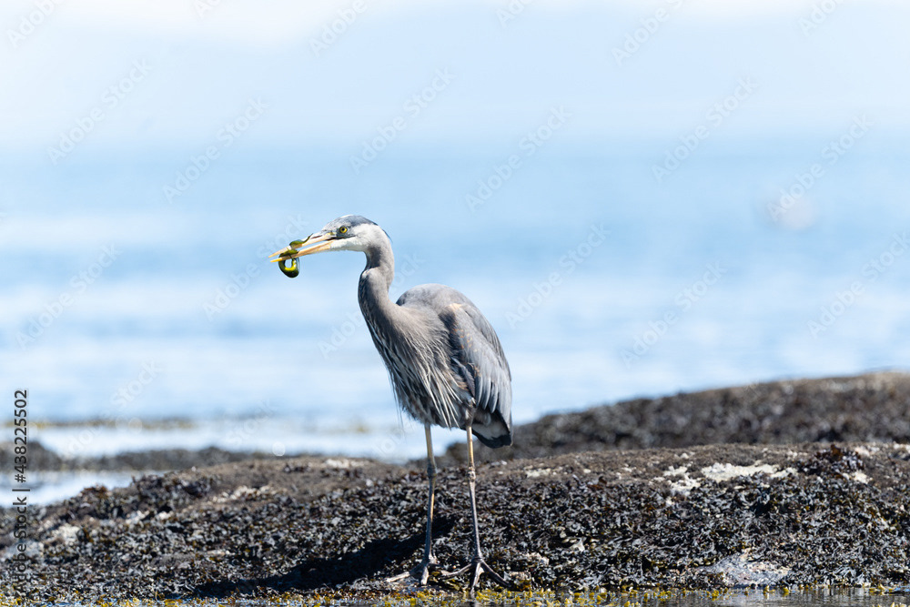 Photo by Lea Tyrrell | Available via Adobe Stock Images