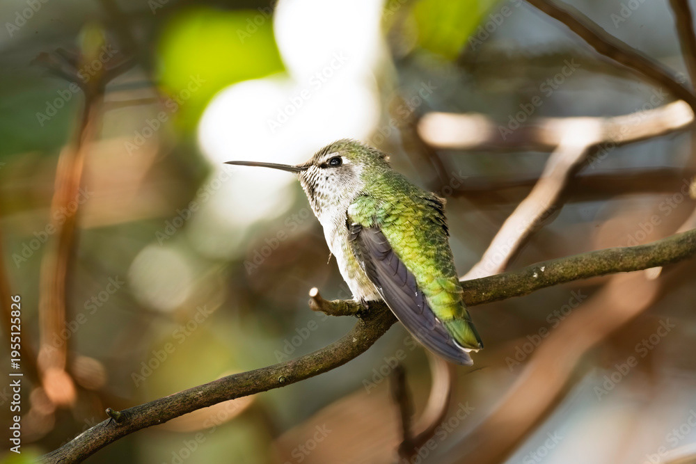 Photo by Lea Tyrrell | Available via Adobe Stock Images