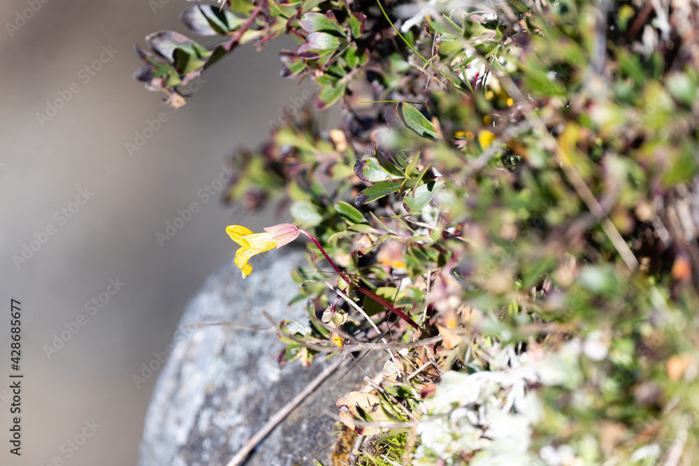 Photo by Lea Tyrrell | Available via Adobe Stock Images