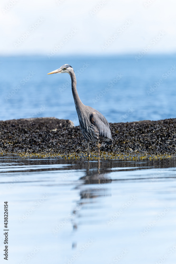 Photo by Lea Tyrrell | Available via Adobe Stock Images