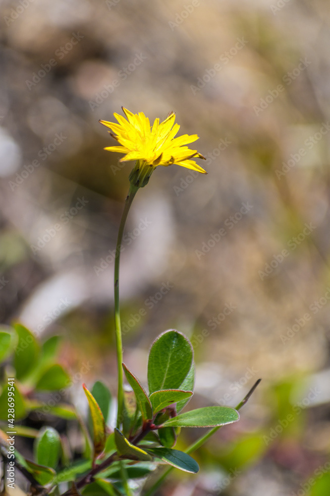 Photo by Lea Tyrrell | Available via Adobe Stock Images