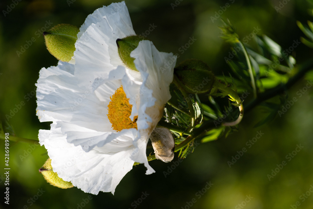 Photo by Lea Tyrrell | Available via Adobe Stock Images