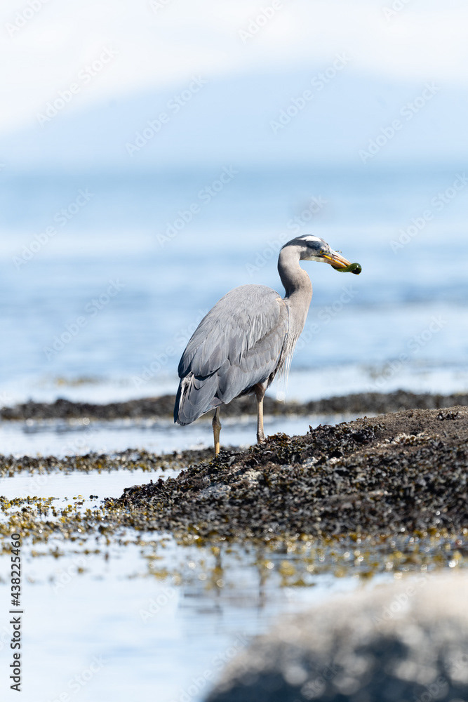 Photo by Lea Tyrrell | Available via Adobe Stock Images