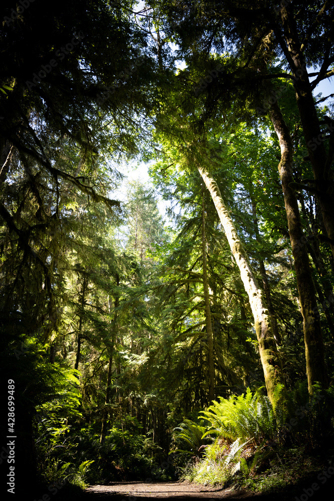 Photo by Lea Tyrrell | Available via Adobe Stock Images