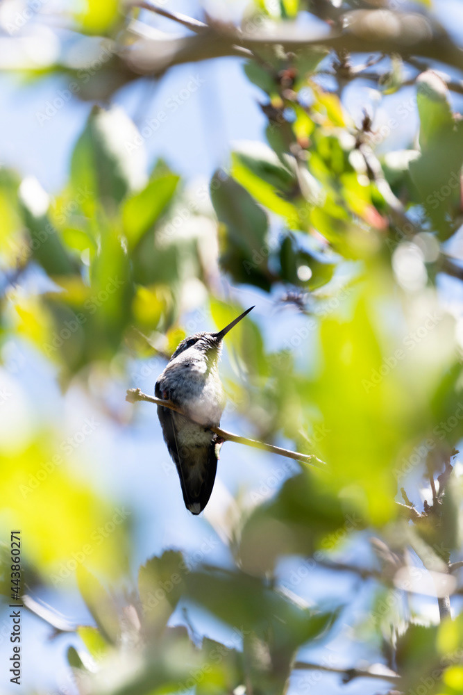 Photo by Lea Tyrrell | Available via Adobe Stock Images