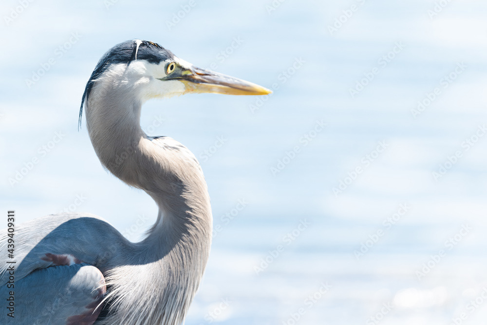 Photo by Lea Tyrrell | Available via Adobe Stock Images