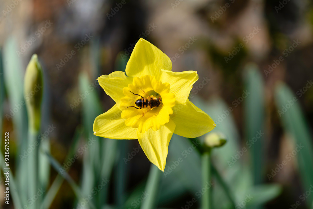 Photo by Lea Tyrrell | Available via Adobe Stock Images