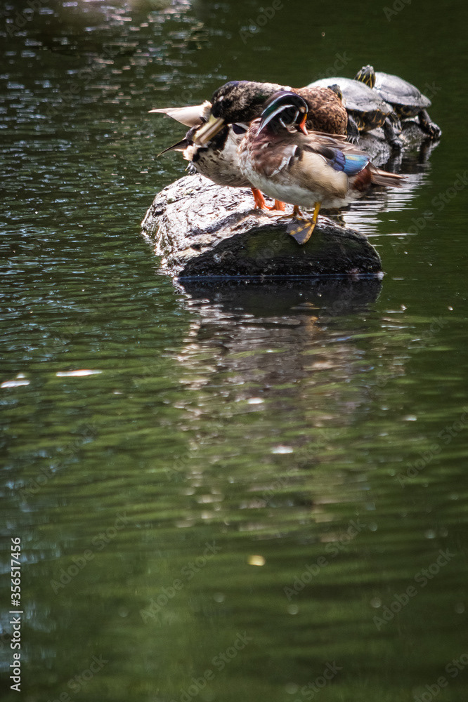 Photo by Lea Tyrrell | Available via Adobe Stock Images