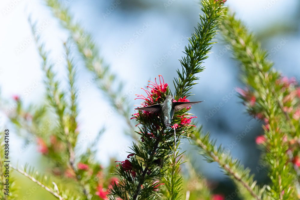 Photo by Lea Tyrrell | Available via Adobe Stock Images
